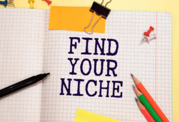 Find a niche online business